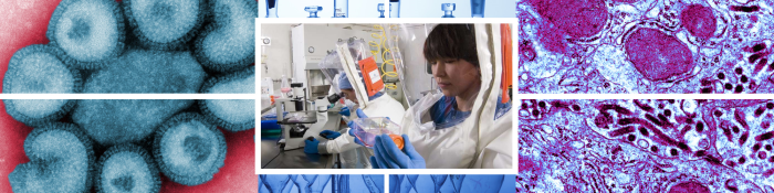 Researchers develop new vaccine against deadly Middle East Respiratory Syndrome