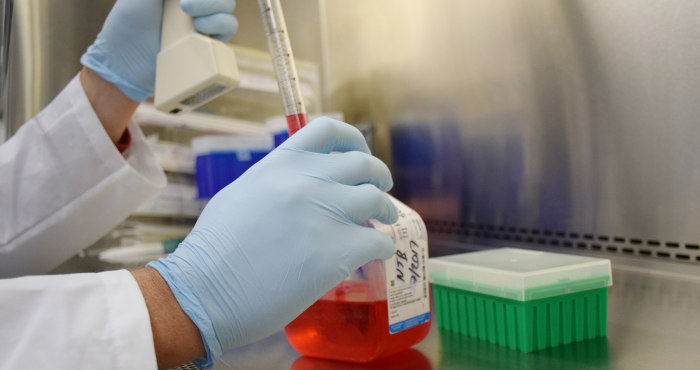 A Zika treatment could already be on the market