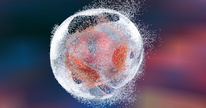 Preventing premature cell death