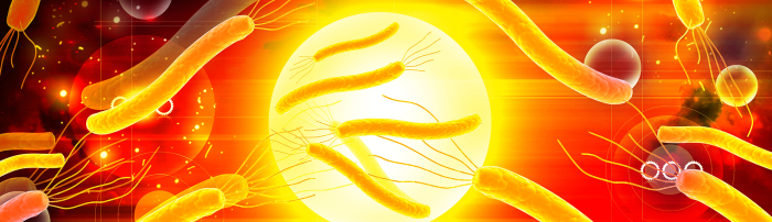 Scientists identify protein in the brain that allows West Nile virus to invade