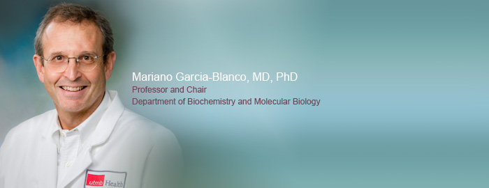 Study explains how dengue virus adapts as it travels, increasing chances for outbreaks