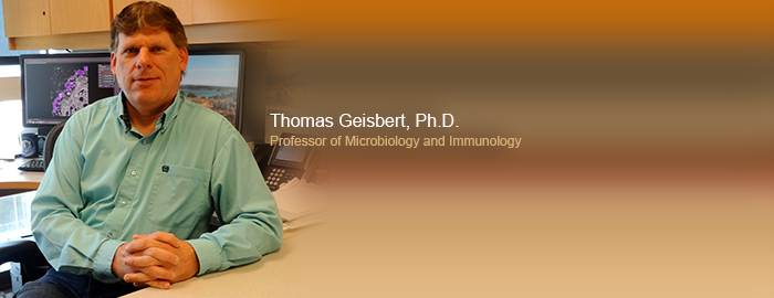 UTMB researchers protect against a lethal infection of Ebola Sudan four days after infection