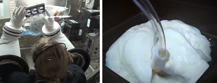 Lungs in space: UTMB and Houston Methodist Research Project Could Lead to New Lung Therapeutics 