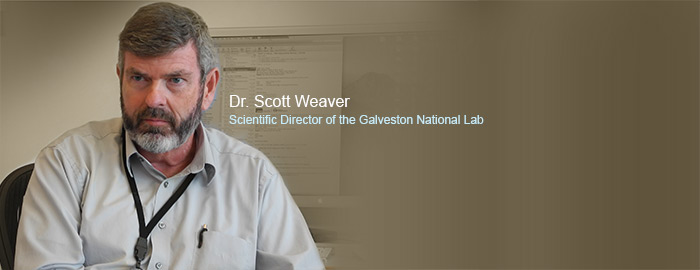 UTMB's Scott Weaver, expert on chikungunya, speaks about Texas outbreak