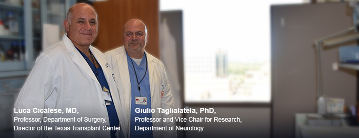 Anti-rejection medications for transplant recipients protect against Alzheimer’s disease