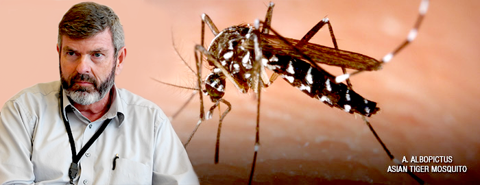 Chikungunya virus may be coming to a city near you - learn the facts 