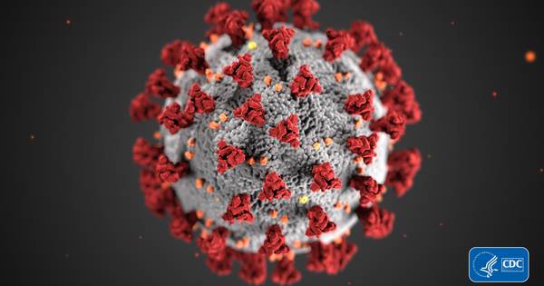 University of Texas Medical Branch developing tool to streamline COVID-19 vaccine development