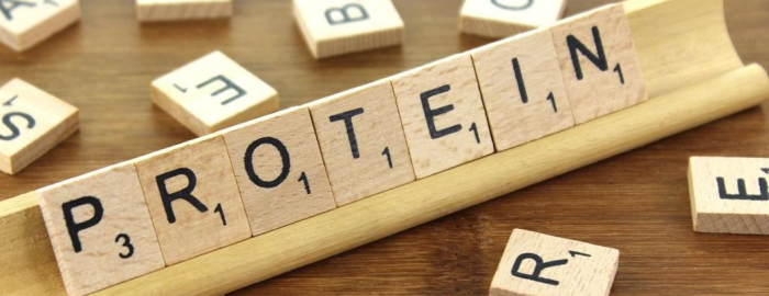 Higher quality protein could lead to better results for those on bed rest