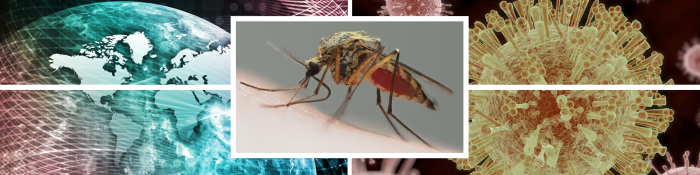 Zika vaccine protects both mom and fetus, but mom needs a higher dose when pregnant 